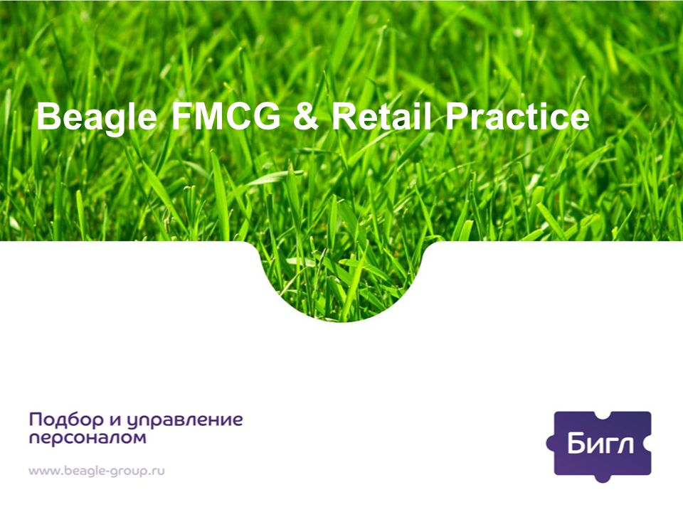 Beagle FMCG & Retail Practice