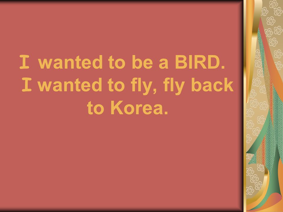 I wanted to be a BIRD. I wanted to fly, fly back to Korea.