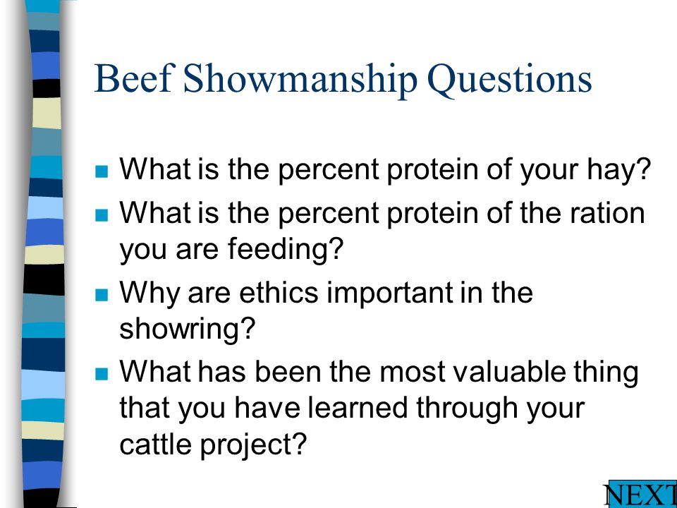 Beef Showmanship Questions n What will be your calf’s yield grade.