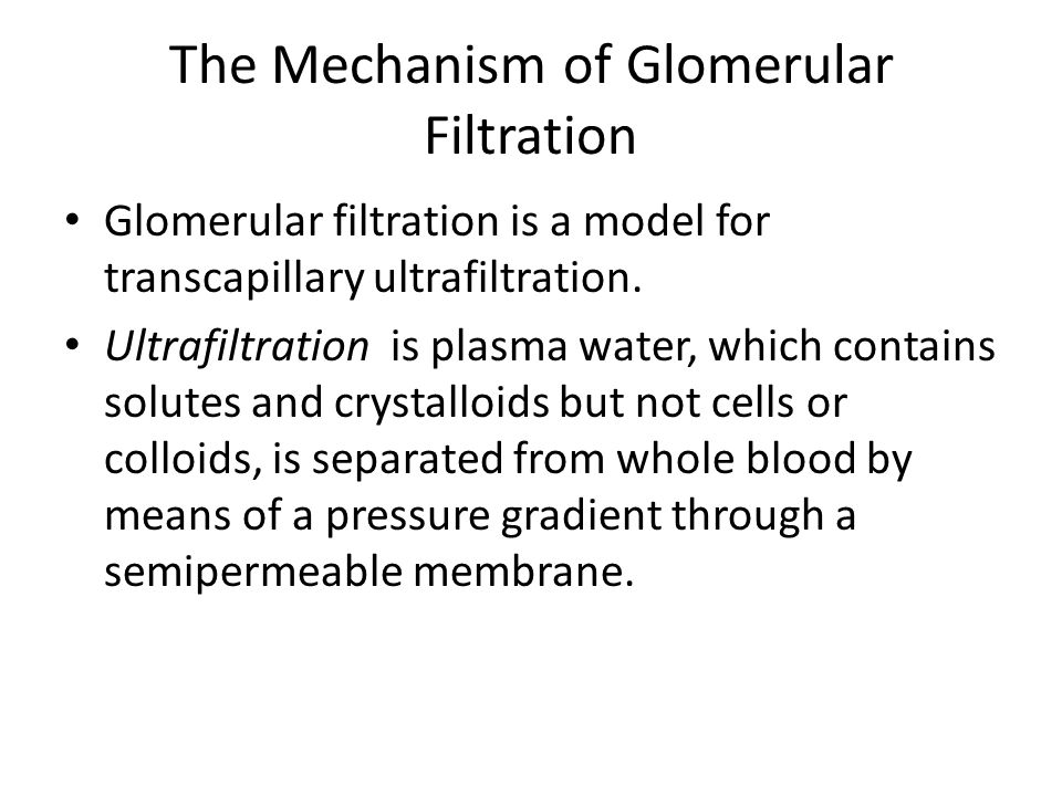 Glomerular Filtration Rate. The Mechanism of Glomerular Filtration  Glomerular filtration is a model for transcapillary ultrafiltration.  Ultrafiltration. - ppt download