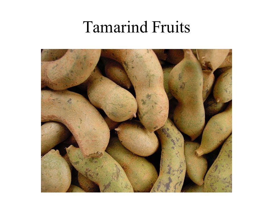 Tamarind Fruits