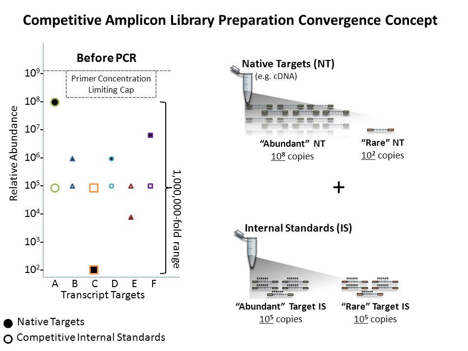 A B C D E F Transcript Targets Relative Abundance Primer Concentration Limiting Cap Before PCR Native Targets Competitive Internal Standards 1,000,000-fold range Competitive Amplicon Library Preparation Convergence Concept Internal Standards (IS) Abundant NT 10 8 copies Native Targets (NT) (e.g.