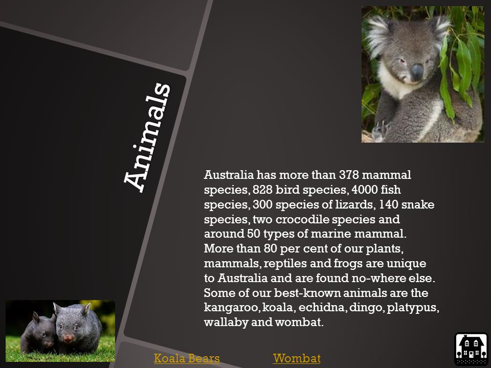 Animals Australia has more than 378 mammal species, 828 bird species, 4000 fish species, 300 species of lizards, 140 snake species, two crocodile species and around 50 types of marine mammal.