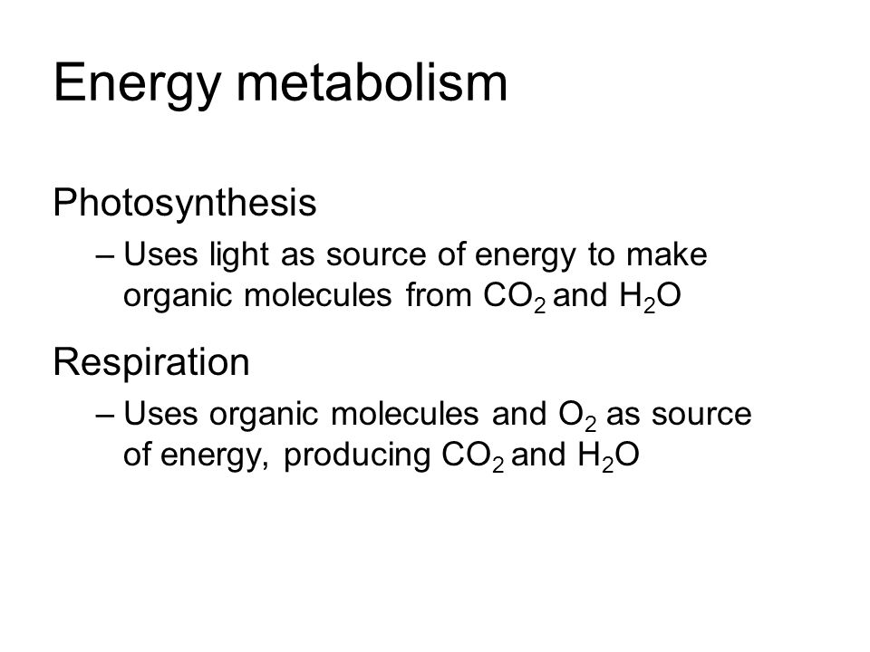 Energy metabolism Photosynthesis –Uses light as source of energy to make organic molecules from CO 2 and H 2 O Respiration –Uses organic molecules and O 2 as source of energy, producing CO 2 and H 2 O