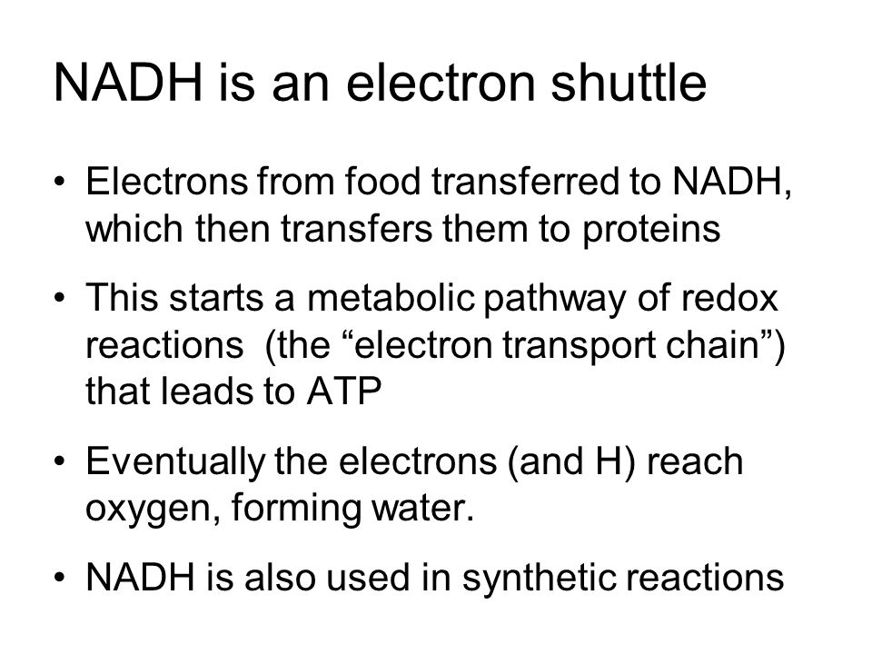 NADH is an electron shuttle Electrons from food transferred to NADH, which then transfers them to proteins This starts a metabolic pathway of redox reactions (the electron transport chain ) that leads to ATP Eventually the electrons (and H) reach oxygen, forming water.