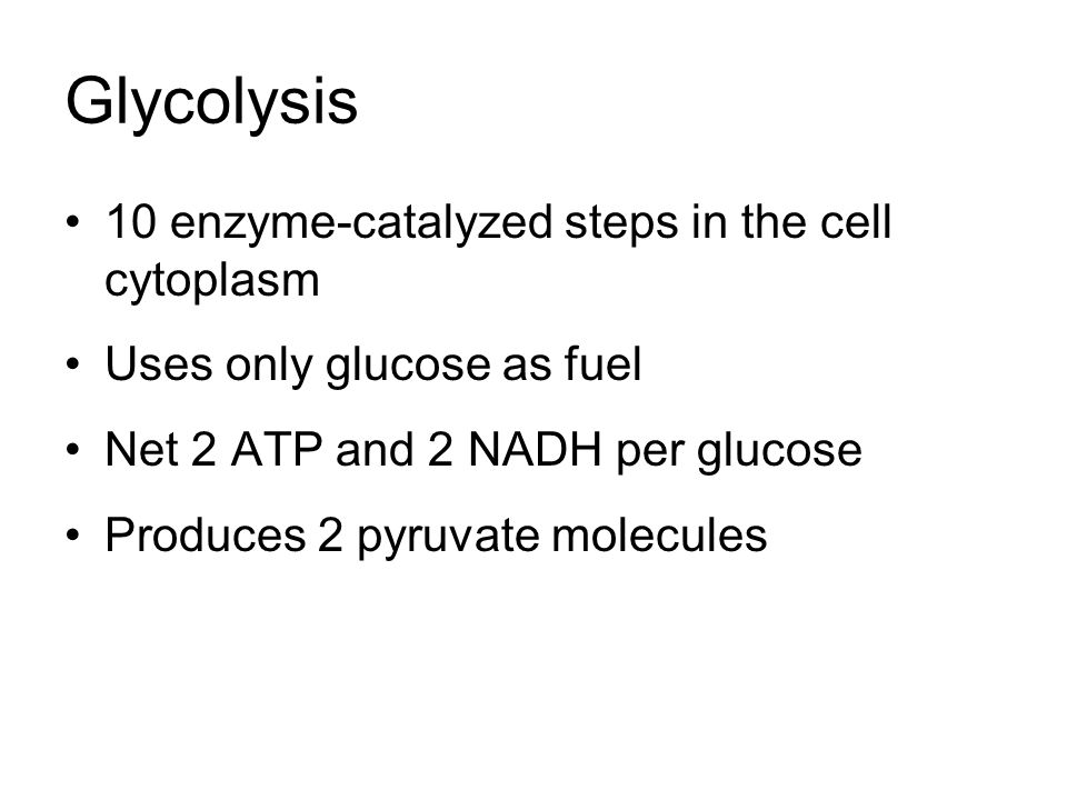 Glycolysis 10 enzyme-catalyzed steps in the cell cytoplasm Uses only glucose as fuel Net 2 ATP and 2 NADH per glucose Produces 2 pyruvate molecules