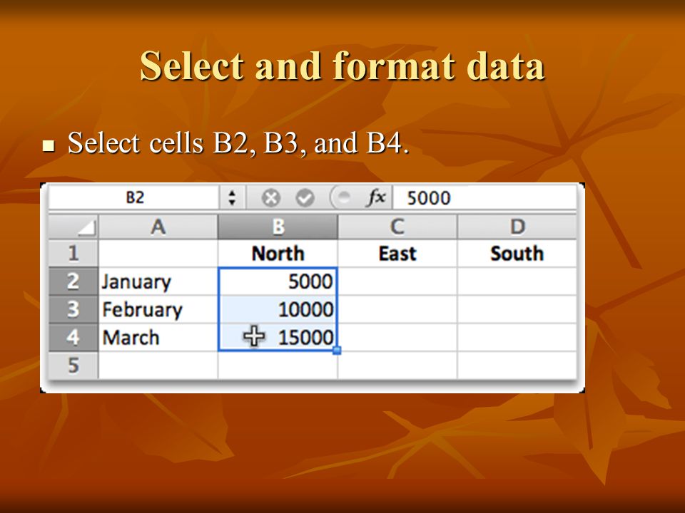 Select and format data Select cells B2, B3, and B4. Select cells B2, B3, and B4.