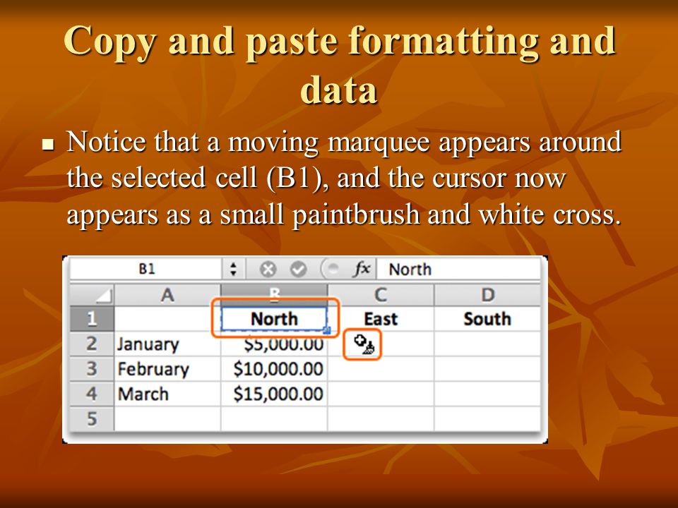 Copy and paste formatting and data Notice that a moving marquee appears around the selected cell (B1), and the cursor now appears as a small paintbrush and white cross.