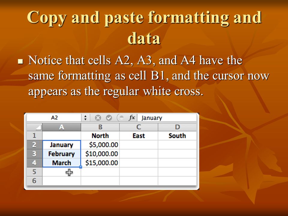 Copy and paste formatting and data Notice that cells A2, A3, and A4 have the same formatting as cell B1, and the cursor now appears as the regular white cross.