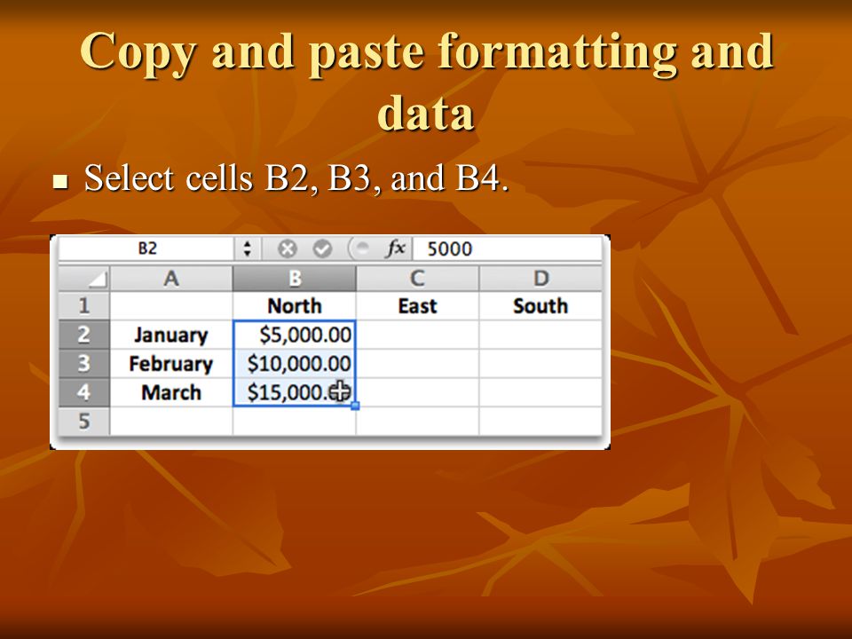 Copy and paste formatting and data Select cells B2, B3, and B4. Select cells B2, B3, and B4.