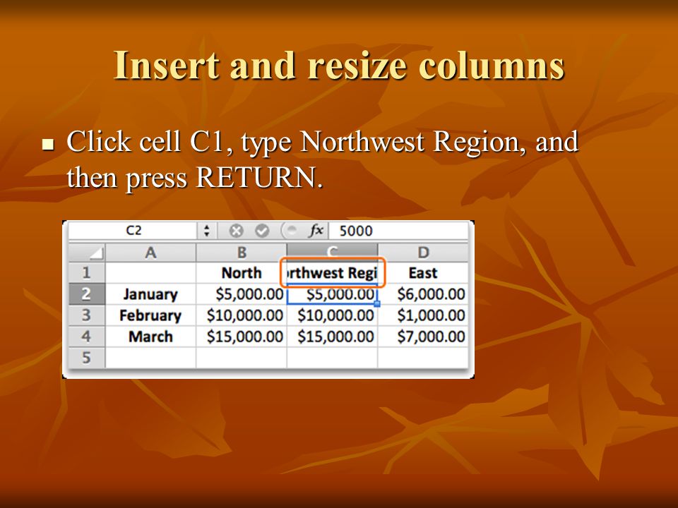Insert and resize columns Click cell C1, type Northwest Region, and then press RETURN.