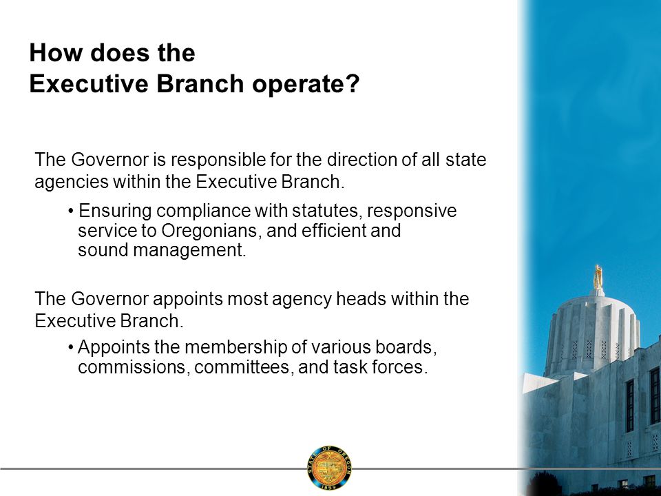 How does the Executive Branch operate.