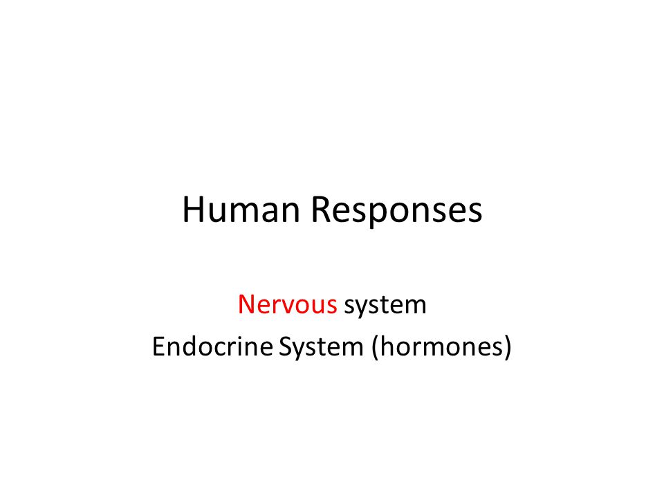 Human Responses Nervous system Endocrine System (hormones)