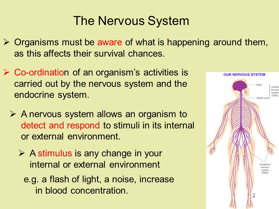 Organisms must be aware of what is happening around them, as this affects their survival chances.
