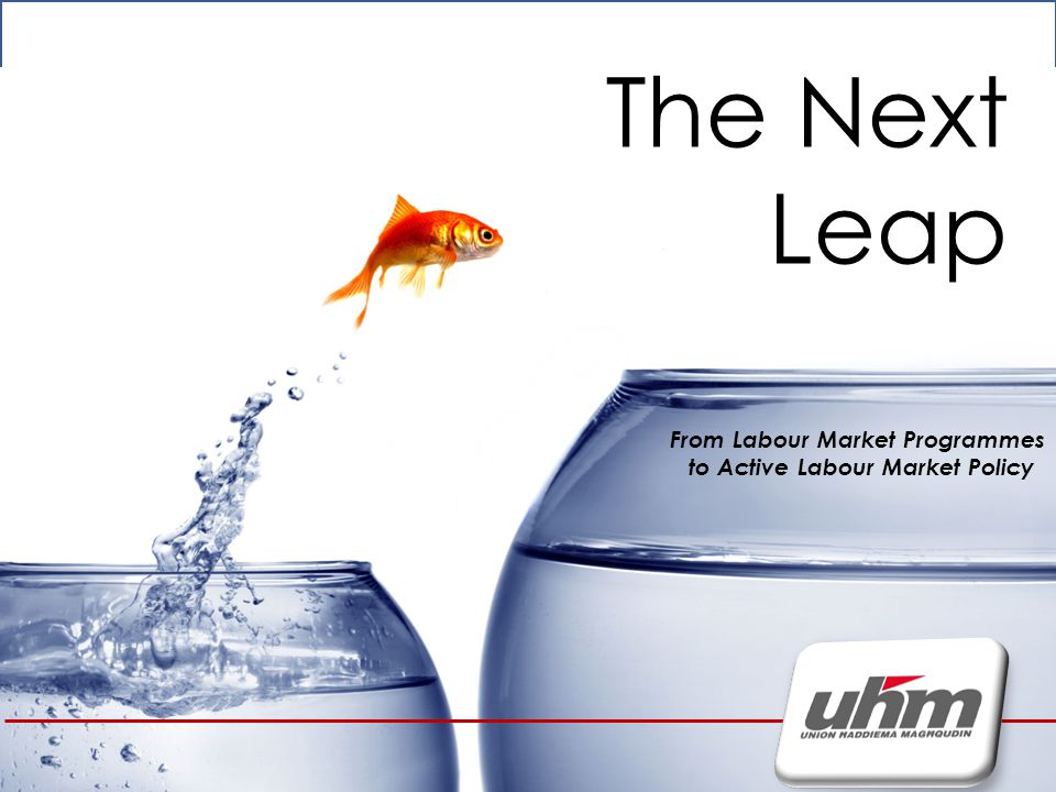 The Next leap The Next Leap From Labour Market Programmes to Active Labour Market Policy
