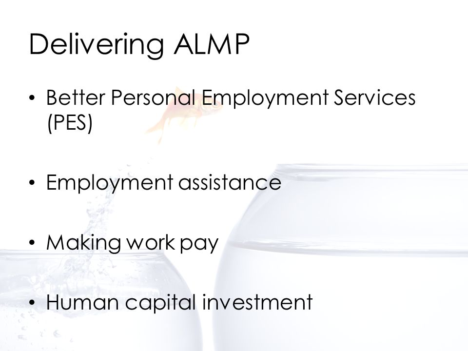 Delivering ALMP Better Personal Employment Services (PES) Employment assistance Making work pay Human capital investment