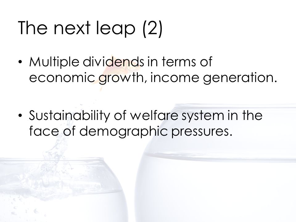 The next leap (2) Multiple dividends in terms of economic growth, income generation.