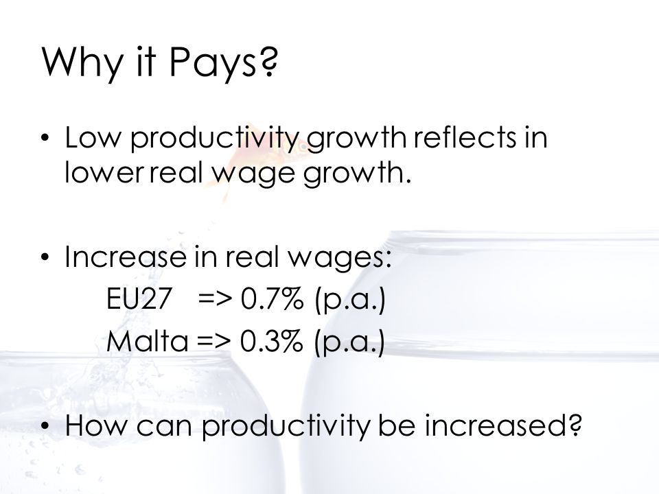 Why it Pays. Low productivity growth reflects in lower real wage growth.