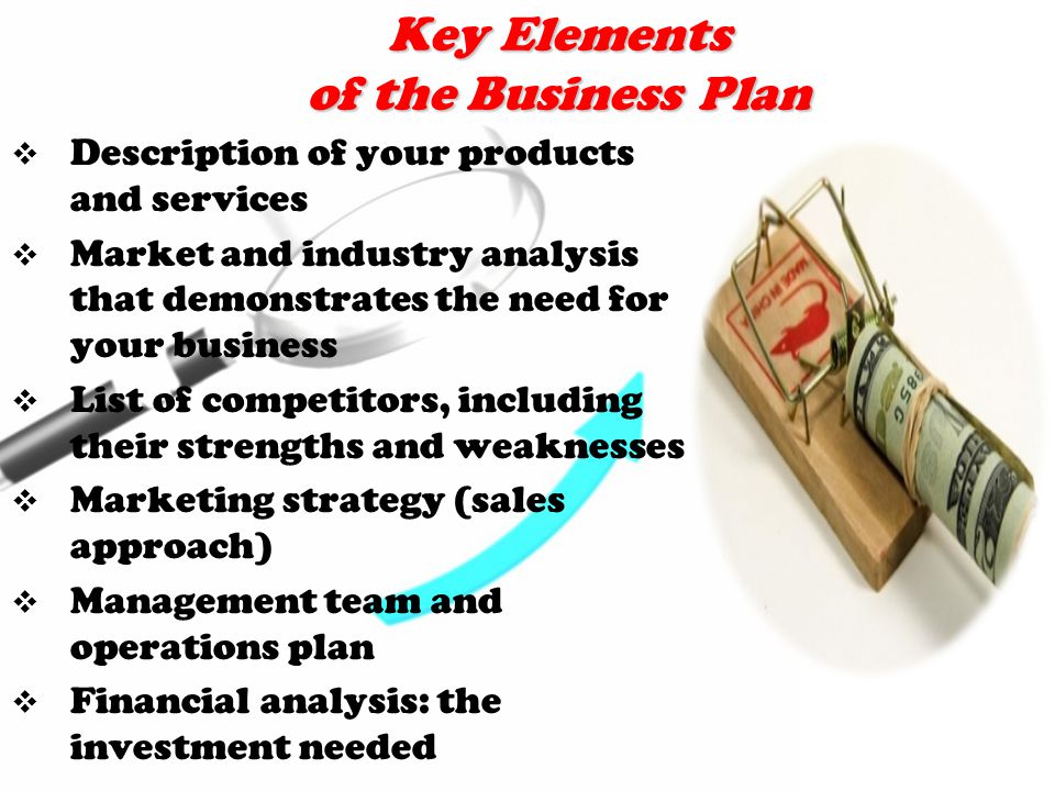 Key Elements of the Business Plan  Description of your products and services  Market and industry analysis that demonstrates the need for your business  List of competitors, including their strengths and weaknesses  Marketing strategy (sales approach)  Management team and operations plan  Financial analysis: the investment needed