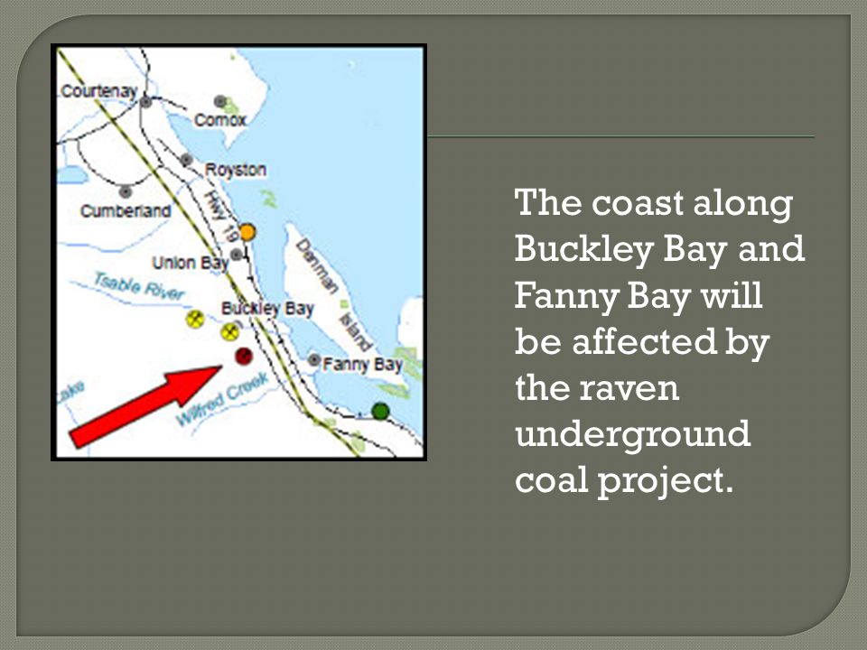 The coast along Buckley Bay and Fanny Bay will be affected by the raven underground coal project.