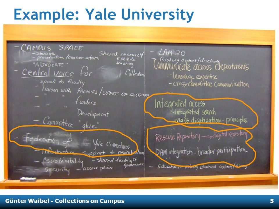 Günter Waibel - Collections on Campus5 Example: Yale University