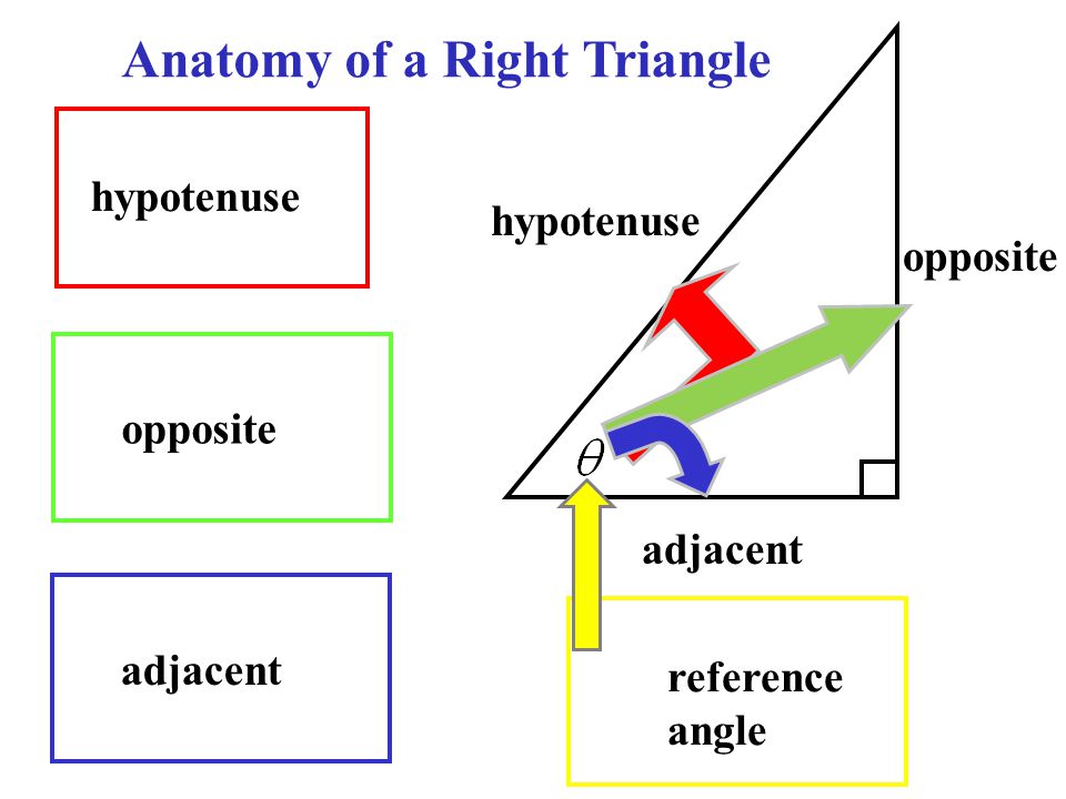 opposite hypotenuse adjacent hypotenuse adjacent opposite reference angle Anatomy of a Right Triangle