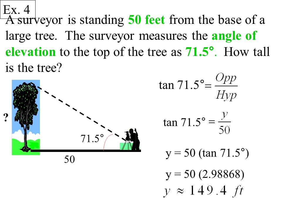 A surveyor is standing 50 feet from the base of a large tree.