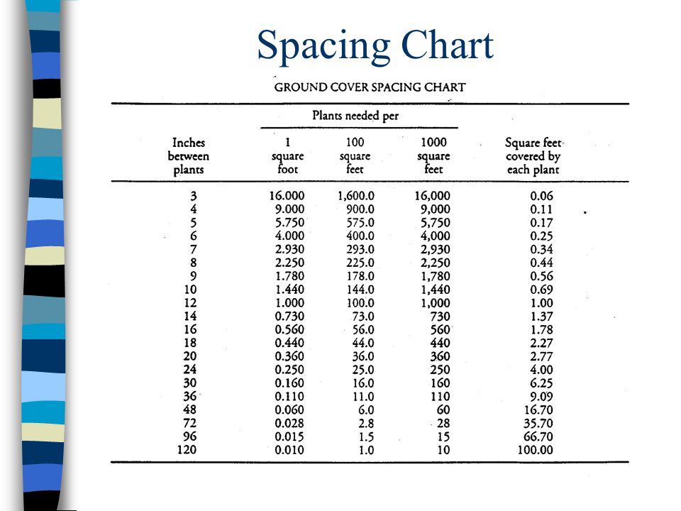 Triangular Plant Spacing Chart