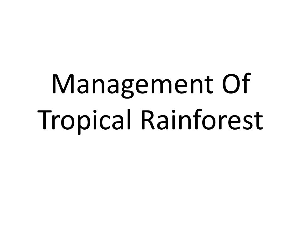 Management Of Tropical Rainforest