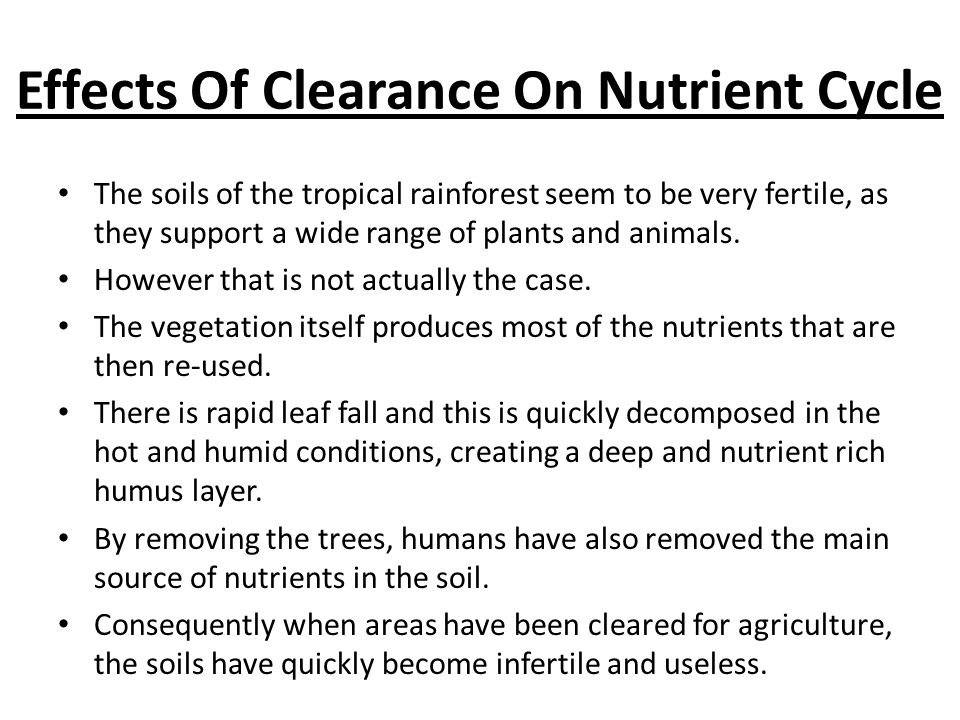 Effects Of Clearance On Nutrient Cycle The soils of the tropical rainforest seem to be very fertile, as they support a wide range of plants and animals.