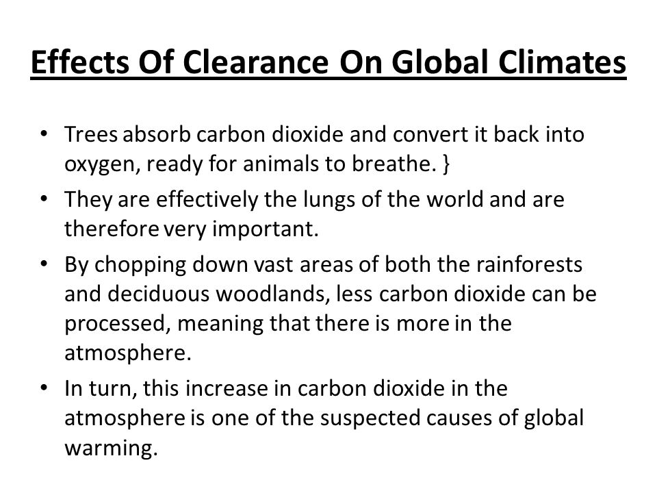 Effects Of Clearance On Global Climates Trees absorb carbon dioxide and convert it back into oxygen, ready for animals to breathe.