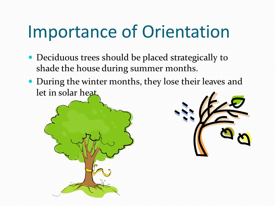 Importance of Orientation Deciduous trees should be placed strategically to shade the house during summer months.