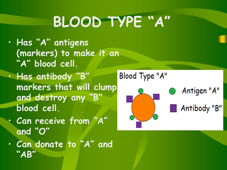 BLOOD TYPE A Has A antigens (markers) to make it an A blood cell.