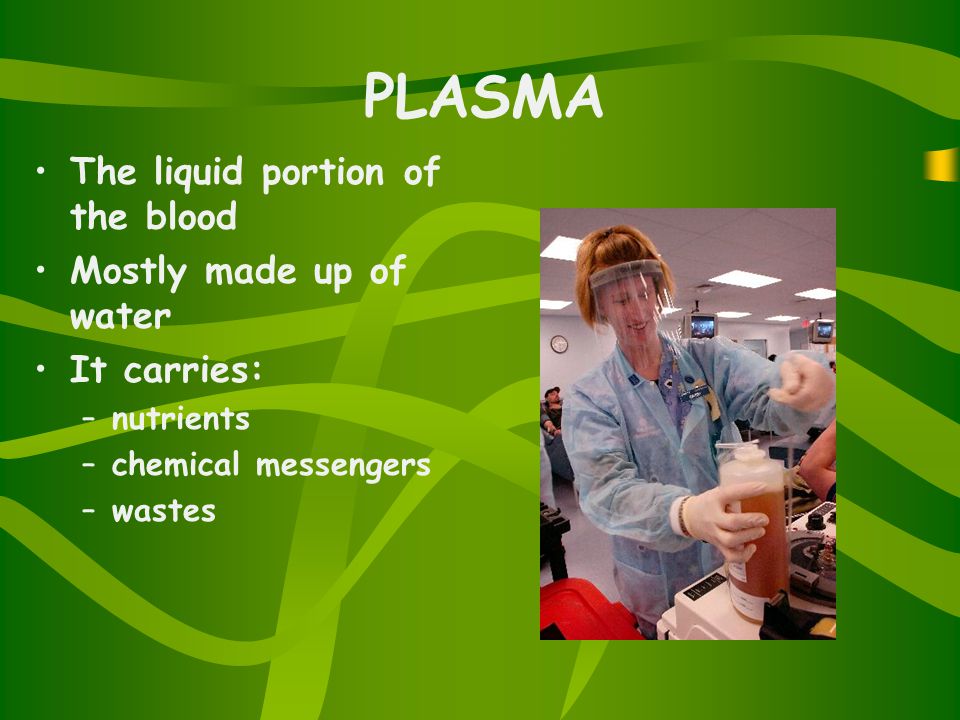 PLASMA The liquid portion of the blood Mostly made up of water It carries: –nutrients –chemical messengers –wastes