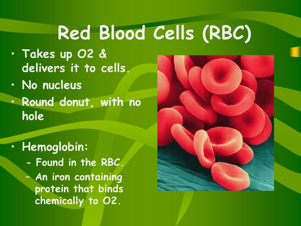 Red Blood Cells (RBC) Takes up O2 & delivers it to cells.