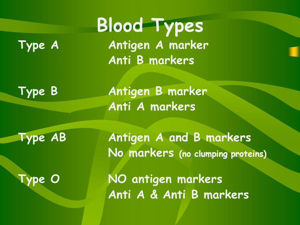 Blood Types Type AAntigen A marker Anti B markers Type BAntigen B marker Anti A markers Type ABAntigen A and B markers No markers (no clumping proteins) Type O NO antigen markers Anti A & Anti B markers