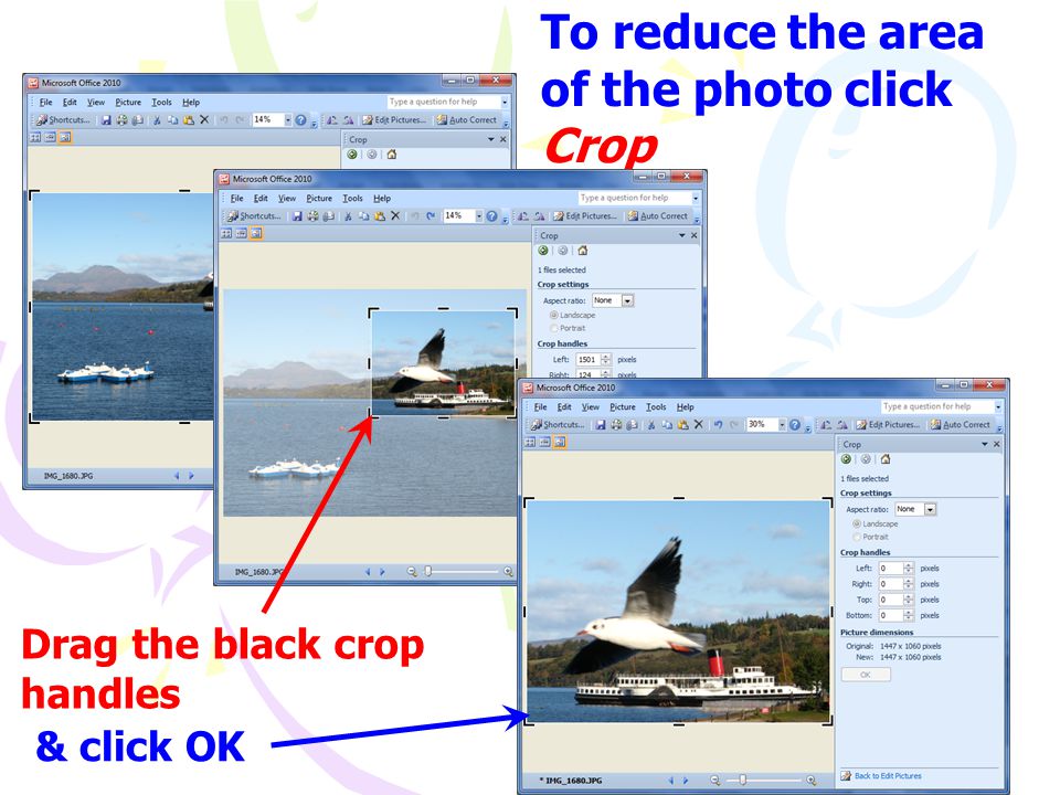To reduce the area of the photo click Crop Drag the black crop handles & click OK