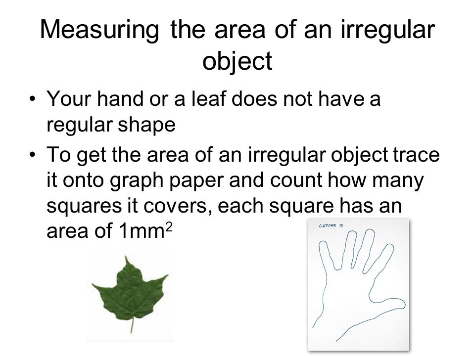 Measuring the area of an irregular object Your hand or a leaf does not have a regular shape To get the area of an irregular object trace it onto graph paper and count how many squares it covers, each square has an area of 1mm 2