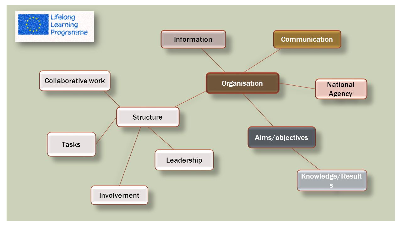 Organisation Communication National Agency Information Structure Collaborative work Aims/objectives Tasks Leadership Involvement Knowledge/Result s