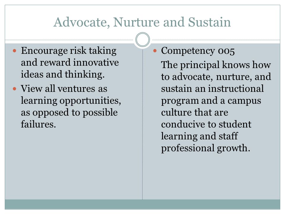 Advocate, Nurture and Sustain Encourage risk taking and reward innovative ideas and thinking.