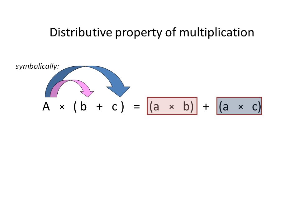 Distributive property of multiplication symbolically: A × ( b + c ) = (a × b) + (a × c)
