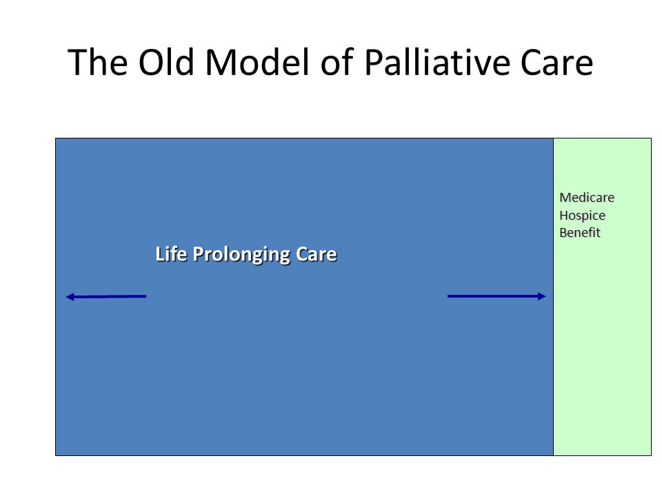 The Old Model of Palliative Care Medicare Hospice Benefit Life Prolonging Care