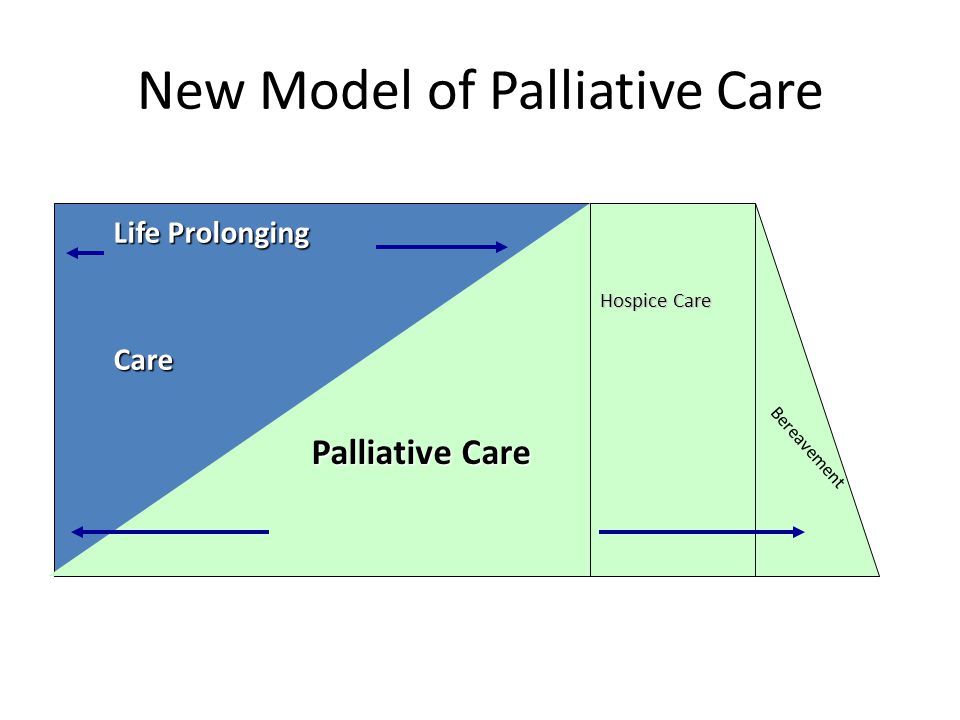 New Model of Palliative Care Palliative Care Bereavement Hospice Care Life Prolonging Care