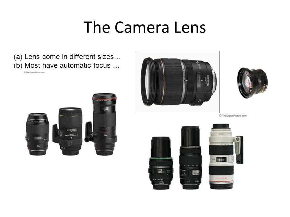 (a) Lens come in different sizes… (b) Most have automatic focus …