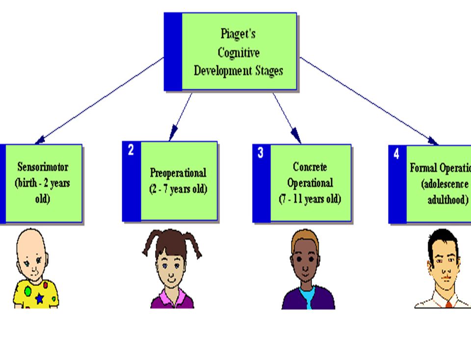 jean piaget four stages