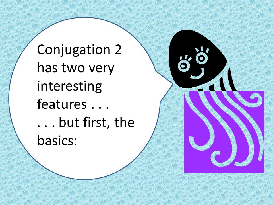 Conjugation 2 has two very interesting features but first, the basics.