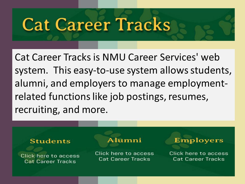 Cat Career Tracks is NMU Career Services web system.