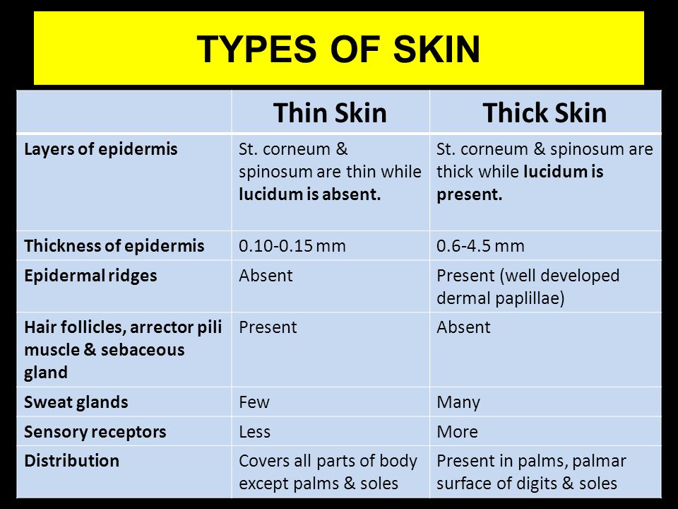 Skin Thickness Chart