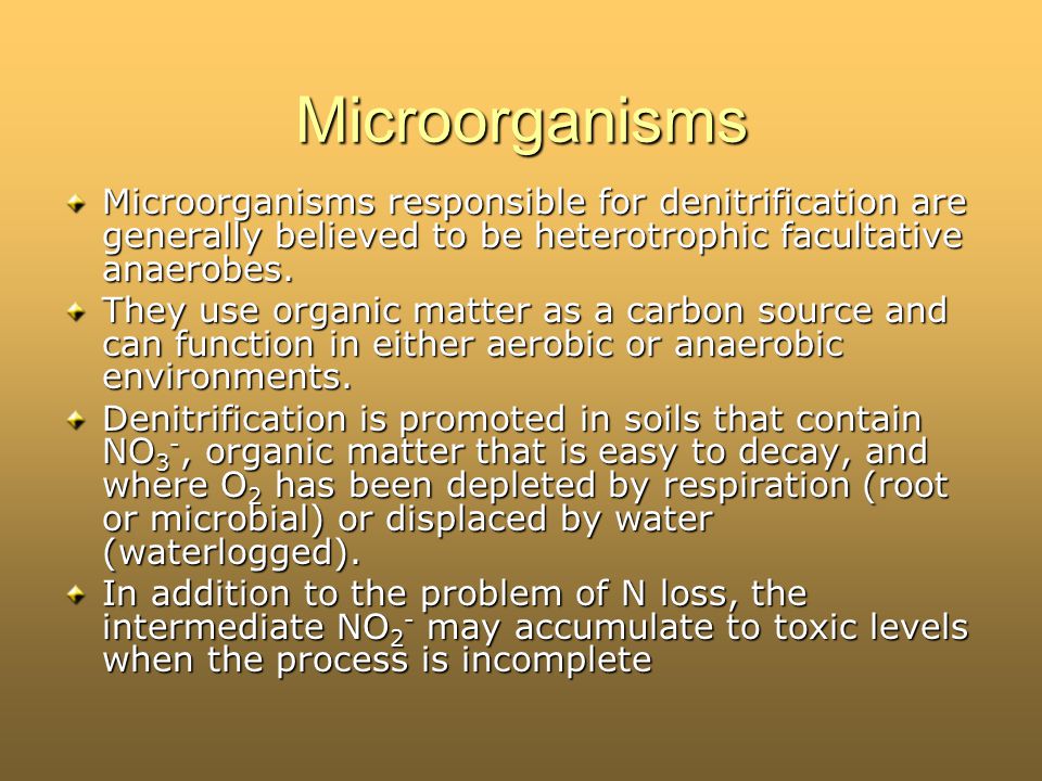 Chapter 5 SOIL AND FERTILIZER N. Definitions Organic-N:N that is bound in organic material in the form of amino acids and... 