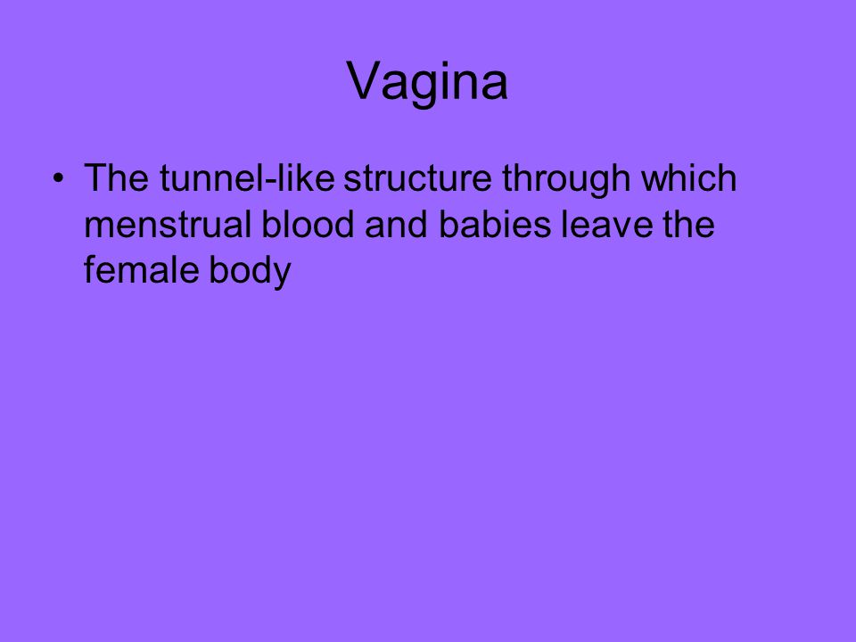 Vagina The tunnel-like structure through which menstrual blood and babies leave the female body